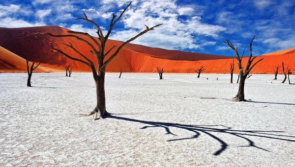 Desierto Del Namib